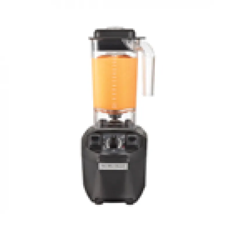 Hamilton Beach HBB 255