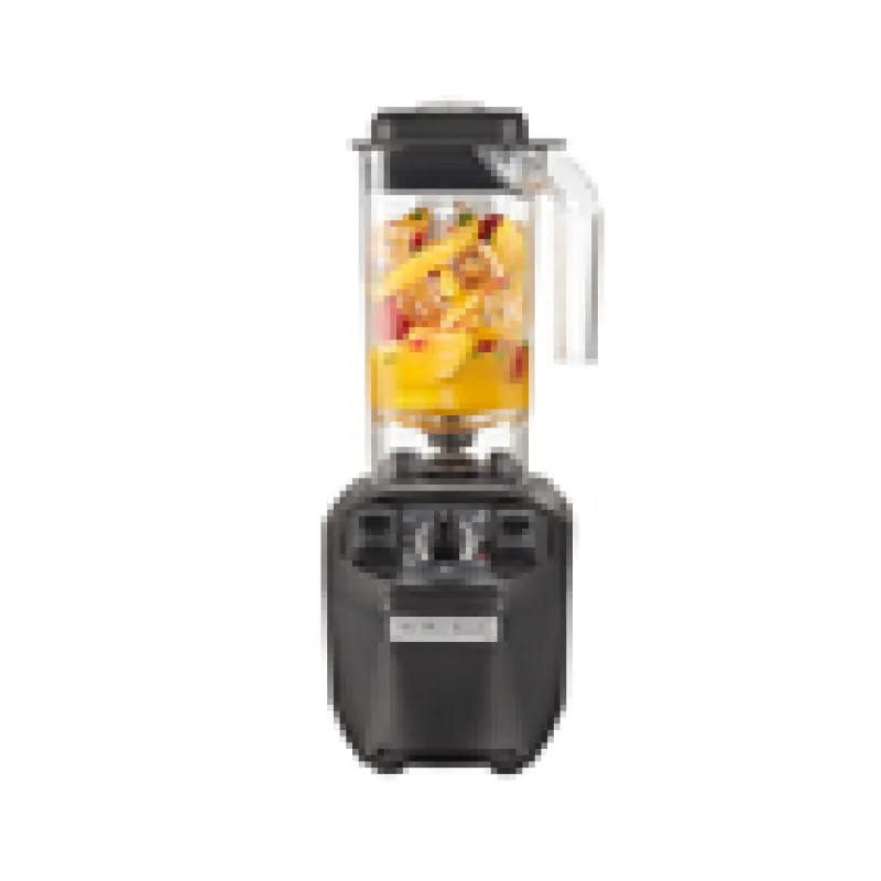 Hamilton Beach HBB 255 2
